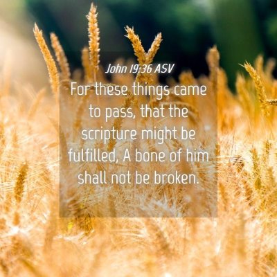 Picture 04 - John 19:36 ASV - For these things came to pass, that the scripture - Bible Verse Picture