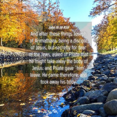 Picture 04 - John 19:38 ASV - And after these things Joseph of Arimathaea, - Bible Verse Picture