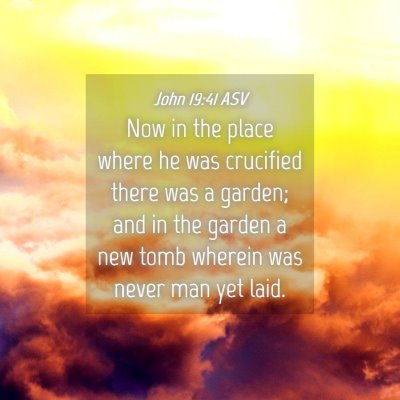 Picture 04 - John 19:41 ASV - Now in the place where he was crucified there was - Bible Verse Picture