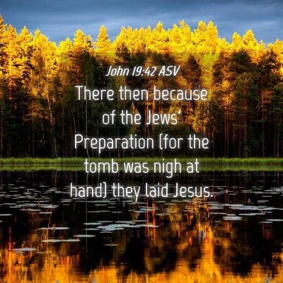 Picture 04 - John 19:42 ASV - There then because of the Jews' Preparation (for - Bible Verse Picture