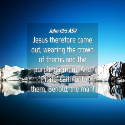 Picture 04 - John 19:5 ASV - Jesus therefore came out, wearing the crown of - Bible Verse Picture