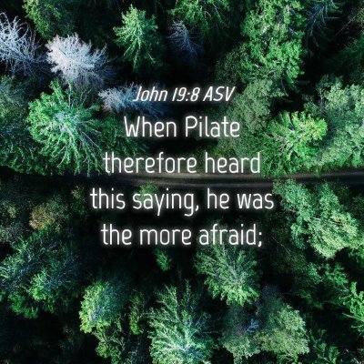 Picture 04 - John 19:8 ASV - When Pilate therefore heard this saying, he was - Bible Verse Picture