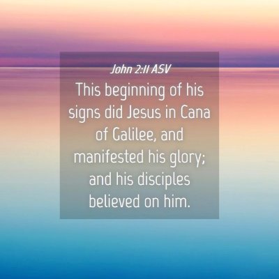 Picture 04 - John 2:11 ASV - This beginning of his signs did Jesus in Cana of - Bible Verse Picture