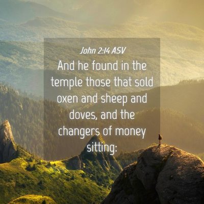 Picture 04 - John 2:14 ASV - And he found in the temple those that sold oxen - Bible Verse Picture