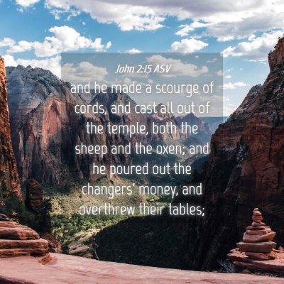 Picture 04 - John 2:15 ASV - and he made a scourge of cords, and cast all out - Bible Verse Picture
