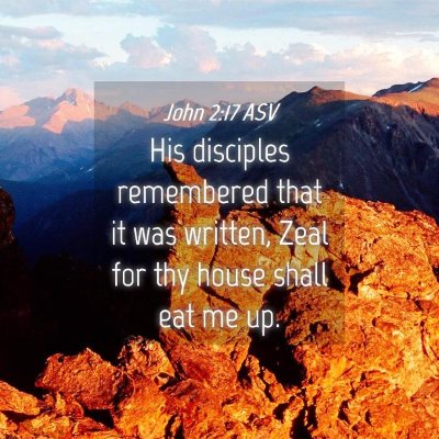 Picture 04 - John 2:17 ASV - His disciples remembered that it was written, - Bible Verse Picture
