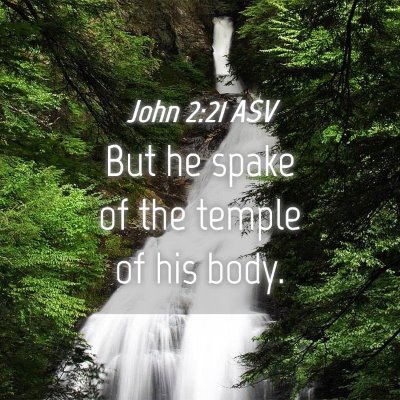 Picture 04 - John 2:21 ASV - But he spake of the temple of his - Bible Verse Picture