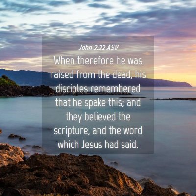 Picture 04 - John 2:22 ASV - When therefore he was raised from the dead, his - Bible Verse Picture