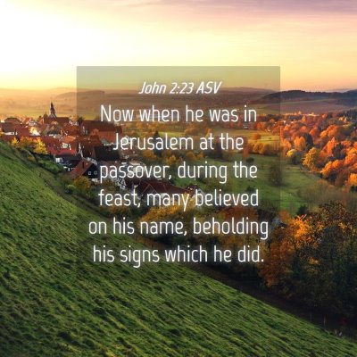 Picture 04 - John 2:23 ASV - Now when he was in Jerusalem at the passover, - Bible Verse Picture