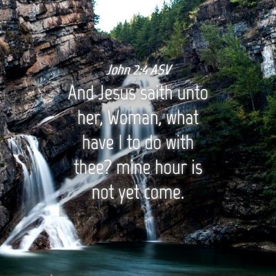Picture 04 - John 2:4 ASV - And Jesus saith unto her, Woman, what have I to - Bible Verse Picture
