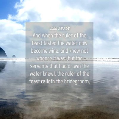 Picture 04 - John 2:9 ASV - And when the ruler of the feast tasted the water - Bible Verse Picture