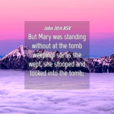 Picture 04 - John 20:11 ASV - But Mary was standing without at the tomb - Bible Verse Picture