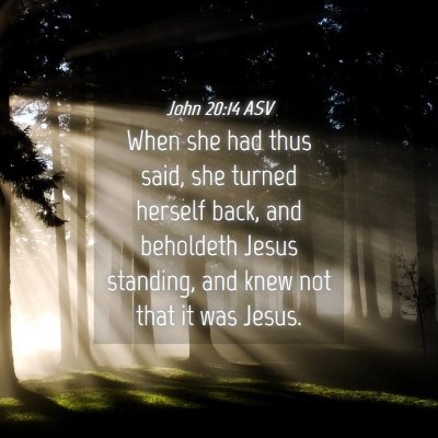 Picture 04 - John 20:14 ASV - When she had thus said, she turned herself back, - Bible Verse Picture