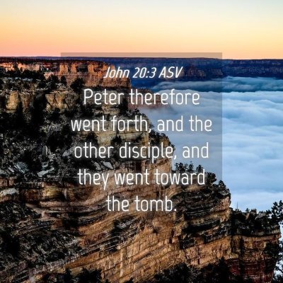 Picture 04 - John 20:3 ASV - Peter therefore went forth, and the other - Bible Verse Picture