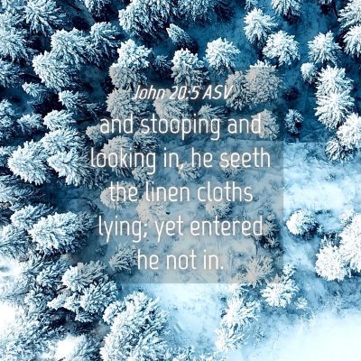 Picture 04 - John 20:5 ASV - and stooping and looking in, he seeth the linen - Bible Verse Picture