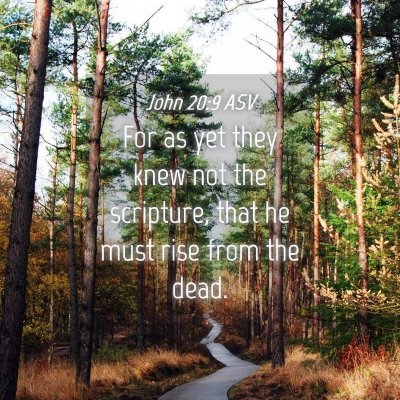 Picture 04 - John 20:9 ASV - For as yet they knew not the scripture, that he - Bible Verse Picture