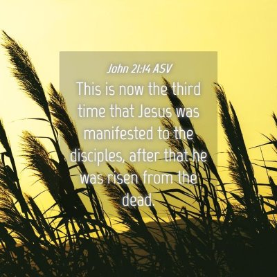 Picture 04 - John 21:14 ASV - This is now the third time that Jesus was - Bible Verse Picture