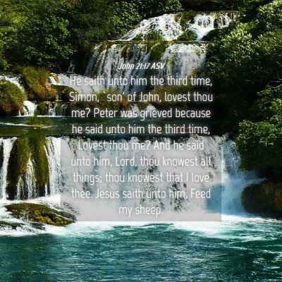 Picture 04 - John 21:17 ASV - He saith unto him the third time, Simon, `son' of - Bible Verse Picture