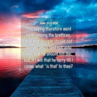 Picture 04 - John 21:23 ASV - This saying therefore went forth among the - Bible Verse Picture