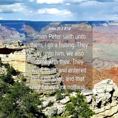 Picture 04 - John 21:3 ASV - Simon Peter saith unto them, I go a fishing. They - Bible Verse Picture