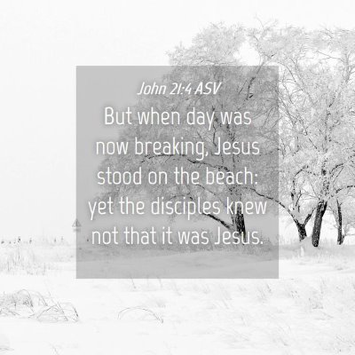 Picture 04 - John 21:4 ASV - But when day was now breaking, Jesus stood on the - Bible Verse Picture