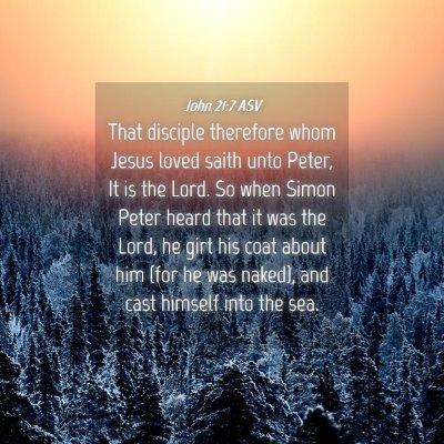Picture 04 - John 21:7 ASV - That disciple therefore whom Jesus loved saith - Bible Verse Picture