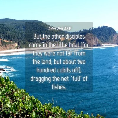 Picture 04 - John 21:8 ASV - But the other disciples came in the little boat - Bible Verse Picture