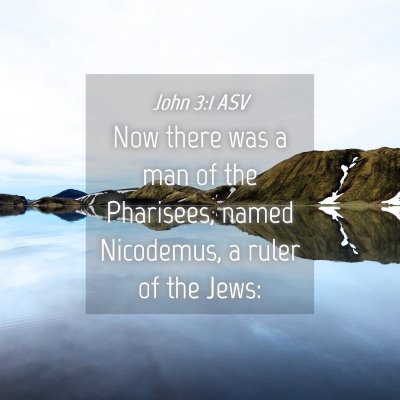 Picture 04 - John 3:1 ASV - Now there was a man of the Pharisees, named - Bible Verse Picture