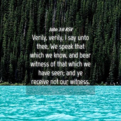 Picture 04 - John 3:11 ASV - Verily, verily, I say unto thee, We speak that - Bible Verse Picture