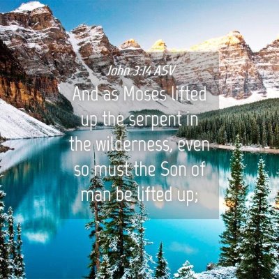 Picture 04 - John 3:14 ASV - And as Moses lifted up the serpent in the - Bible Verse Picture