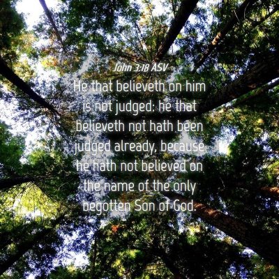 Picture 04 - John 3:18 ASV - He that believeth on him is not judged: he that - Bible Verse Picture