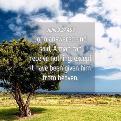 Picture 04 - John 3:27 ASV - John answered and said, A man can receive - Bible Verse Picture