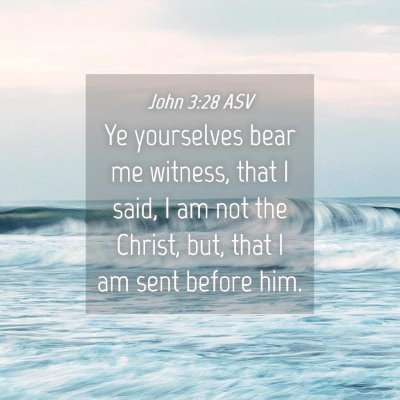 Picture 04 - John 3:28 ASV - Ye yourselves bear me witness, that I said, I am - Bible Verse Picture