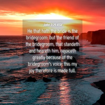 Picture 04 - John 3:29 ASV - He that hath the bride is the bridegroom: but the - Bible Verse Picture