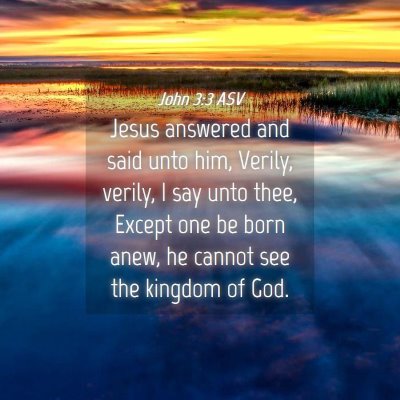Picture 04 - John 3:3 ASV - Jesus answered and said unto him, Verily, verily, - Bible Verse Picture