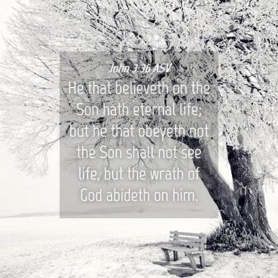 Picture 04 - John 3:36 ASV - He that believeth on the Son hath eternal life; - Bible Verse Picture