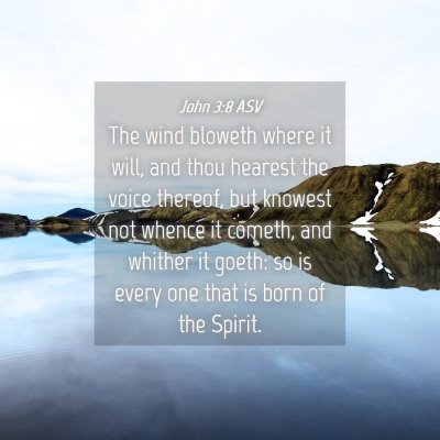 Picture 04 - John 3:8 ASV - The wind bloweth where it will, and thou hearest - Bible Verse Picture