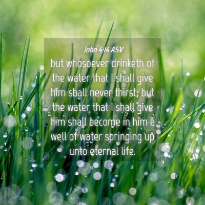 Picture 04 - John 4:14 ASV - but whosoever drinketh of the water that I shall - Bible Verse Picture