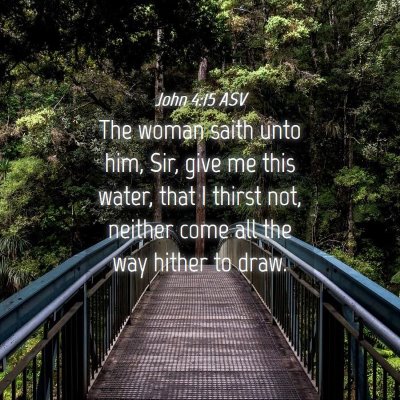 Picture 04 - John 4:15 ASV - The woman saith unto him, Sir, give me this - Bible Verse Picture