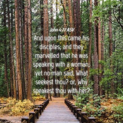 Picture 04 - John 4:27 ASV - And upon this came his disciples; and they - Bible Verse Picture