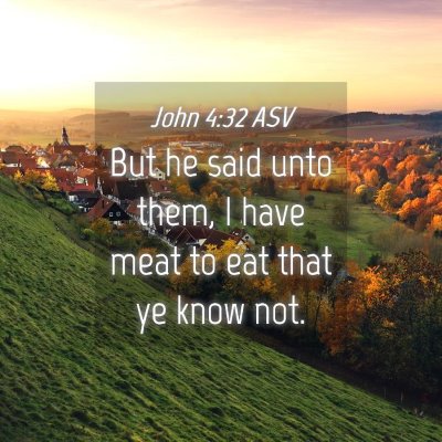 Picture 04 - John 4:32 ASV - But he said unto them, I have meat to eat that ye - Bible Verse Picture
