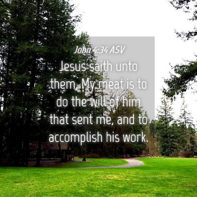 Picture 04 - John 4:34 ASV - Jesus saith unto them, My meat is to do the will - Bible Verse Picture