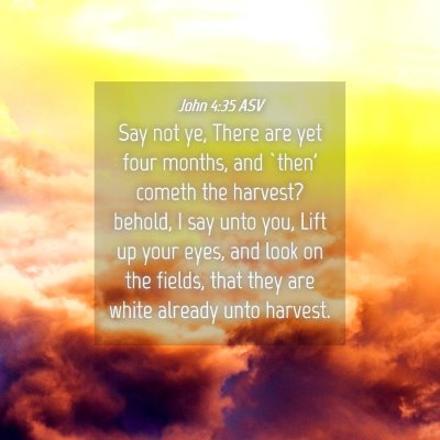 Picture 04 - John 4:35 ASV - Say not ye, There are yet four months, and `then' - Bible Verse Picture