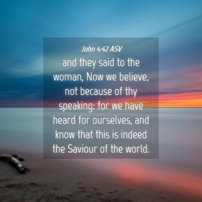 Picture 04 - John 4:42 ASV - and they said to the woman, Now we believe, not - Bible Verse Picture