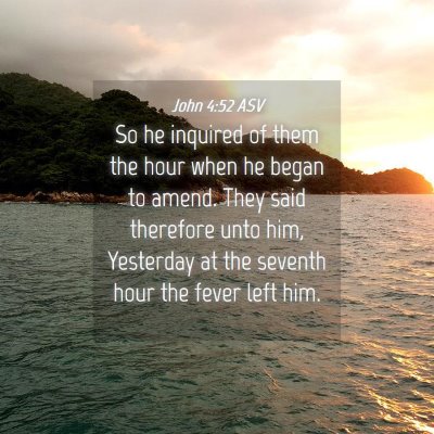 Picture 04 - John 4:52 ASV - So he inquired of them the hour when he began to - Bible Verse Picture