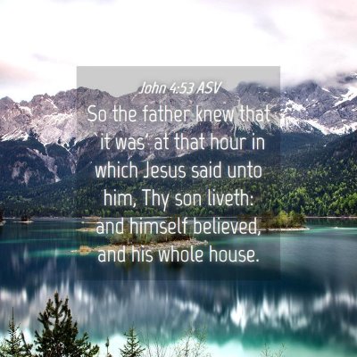 Picture 04 - John 4:53 ASV - So the father knew that `it was' at that hour in - Bible Verse Picture