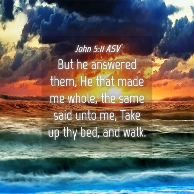 Picture 04 - John 5:11 ASV - But he answered them, He that made me whole, the - Bible Verse Picture