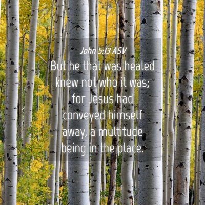 Picture 04 - John 5:13 ASV - But he that was healed knew not who it was; for - Bible Verse Picture