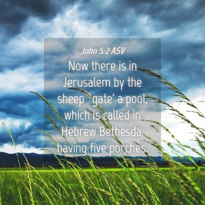 Picture 04 - John 5:2 ASV - Now there is in Jerusalem by the sheep `gate' a - Bible Verse Picture