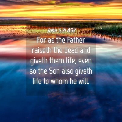 Picture 04 - John 5:21 ASV - For as the Father raiseth the dead and giveth - Bible Verse Picture